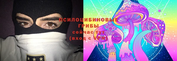 PSILOCYBIN Беломорск